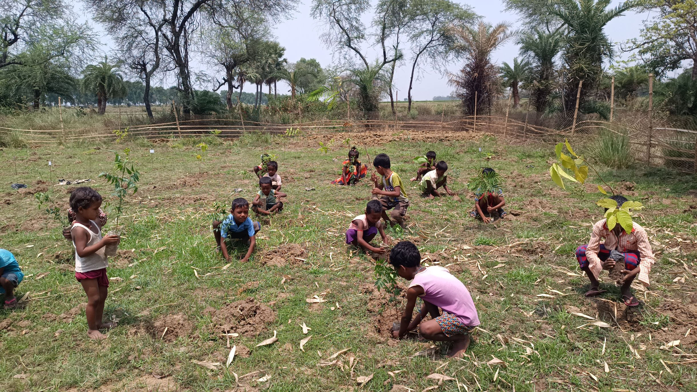 Planting Today for a Greener Tomorrow